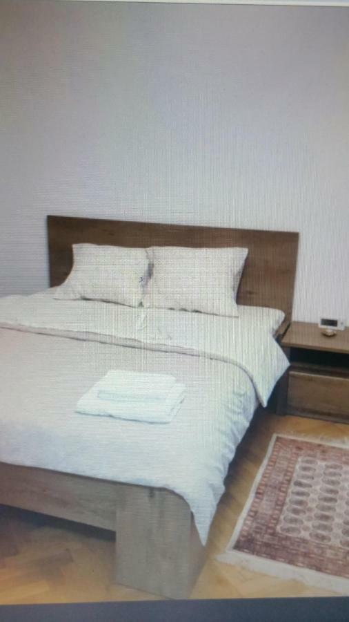Apartament Lavinia Calimanesti Ngoại thất bức ảnh