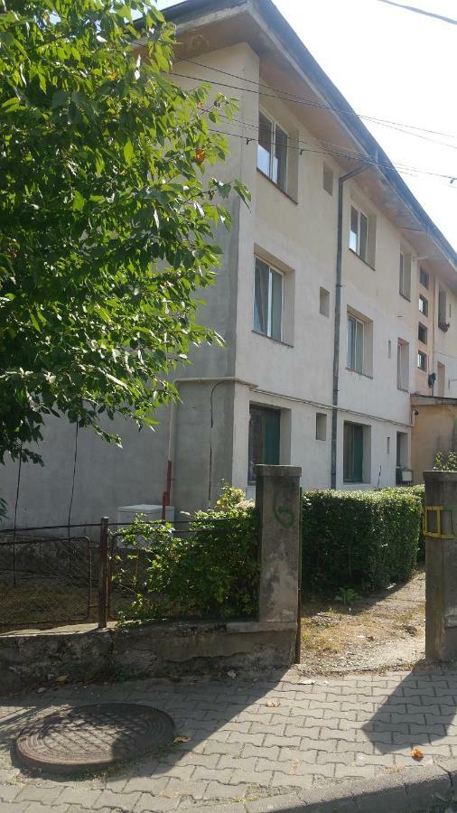 Apartament Lavinia Calimanesti Ngoại thất bức ảnh