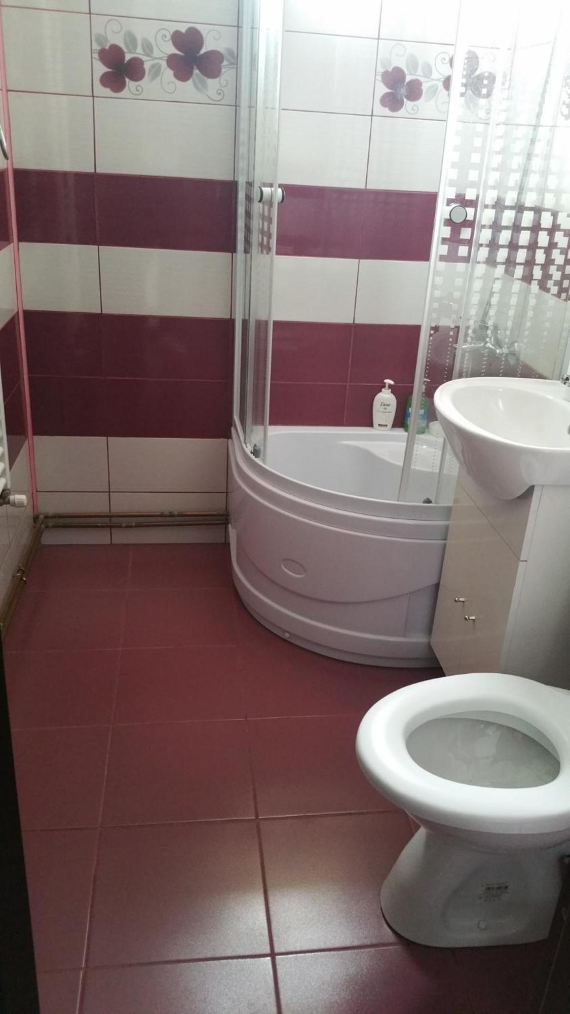 Apartament Lavinia Calimanesti Ngoại thất bức ảnh